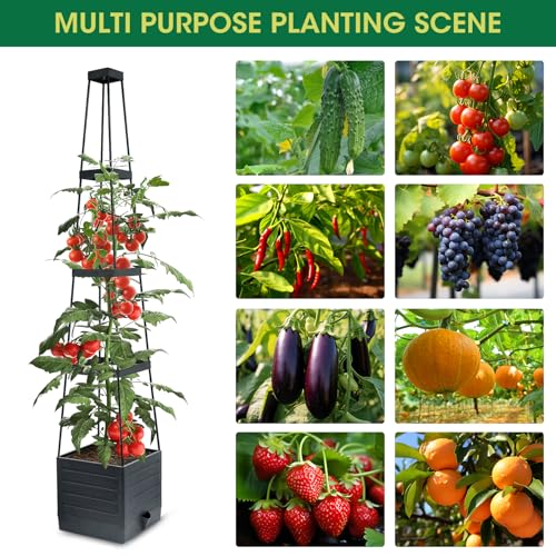 MYMULIKE 2 Pack Raised Garden Bed Planter Box with Trellis, 58” Tomato Cage Planter Raised Garden Bed with Trellis for Climbing Vegetables Plants Tomato Cage w/Self-Watering, Indoor Outdoor Use