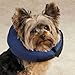 Total Pet Health Inflatable Dog Collars - Veterinarian-Approved Collars Designed to Prevent Pets from Scratching and Biting at Injuries, Stitches, Rashes, and Wounds - Medium, Blue