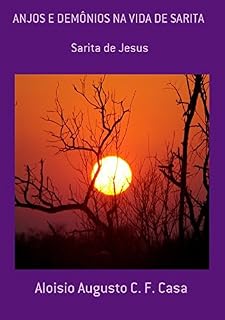 Livro Anjos E Demônios Na Vida De Sarita