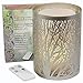 Royal Living Enchanted Forest Essential Oil Diffuser, Ultrasonic Aromatherapy Humidifier (Silver)