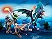 PLAYMOBIL® Shield Dragon