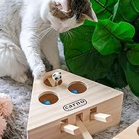 DD-upstep Cat