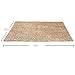 KLOUD City Anti-Slip Microfiber Rug Camel Color(31 by 20-Inch)