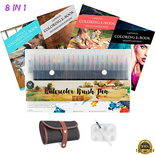 Water Color Brush Pens 20 Piece Set - Portable Water Brush Pen Set