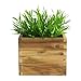 Ikea Artificial Potted Plant, House Bamboo, 11 Inch, Pack of 2