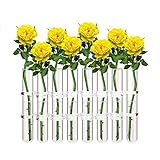 Ivolador 8 Crystal Glass Test Tube Vase Flower Pots Desktop Plant Terrarium for Hydroponic Plants Home Garden Wedding DecorationDecoration