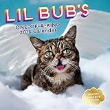 Lil Bub 2016 Wall Calendar by Lil Bub Lil Bub (2015-08-11) by 