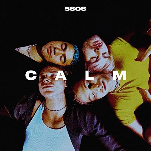 5 Seconds of Summer - EVERYONE'S A STAR! - Amazon.com Music