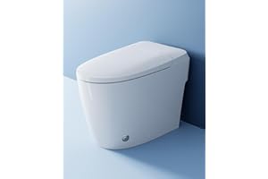 HOROW HR-T30 Non-Electric Bidet Toilet, Tankless Toilet with ADA Chair Height, 1.0GPF and Powerful Flush, Skirted One Piece Toilet for Bathroom, 12" Rough in