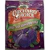Blue Ribbon Orchard Choice Bite Size Mission Figs 4oz bags (3-pk)