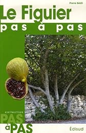 Le  figuier, pas à pas