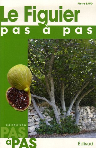 Le  figuier, pas à pas
