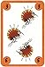 Djeco Card Game: Sakapuss