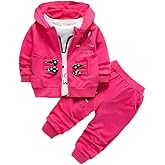 WIAINIBIBI Spring Autumn Toddler Baby Girls 3 PCS Outfits Set Hooded jacket+Long Sleeve T-shirt+Long Pant