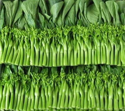 Choi Sum Choy Sum Cherry Farms Uk Growers