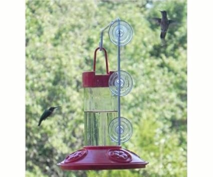 Amazon Com 2 Pack Dr Jb S 16 Oz Hummingbird Feeder All Red W