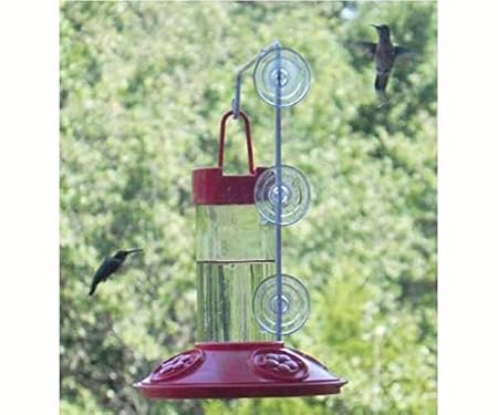 Amazon Com 2 Pack Dr Jb S 16 Oz Hummingbird Feeder All Red W