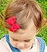 No Slippy Hair Clippy Baby-Girls Newborn Ava Two Pack Bow