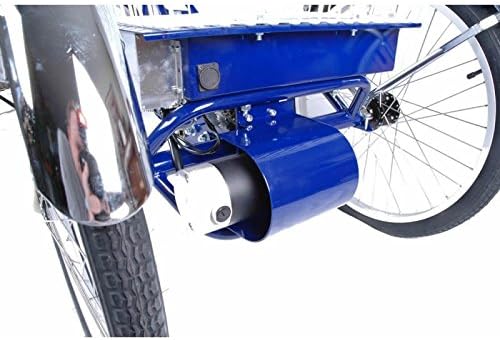 Motor for Gomier Electric Trike