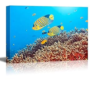 Canvas Prints Wall Art - Underwater Landscape with Couple of Royal Angelfishes | Modern Wall Decor/Home Art Gallery Wraps Giclee Print & Wood Framed. Ready to Hang - 12" x 18"