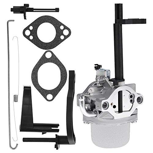 USA Premium Store New Carburetor for Briggs & Stratton 698305 793778 Nikki Snowblower Snow Blower
