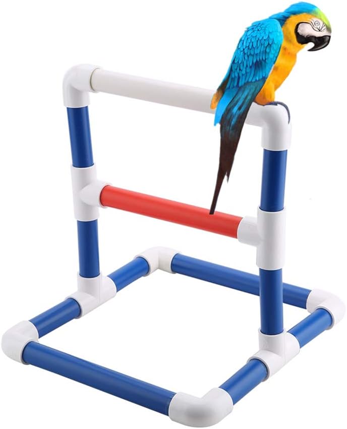 Parrot Training Stand for Birds, PVC Bird Perch Platform with Shower Bath Rack and Gym Play
