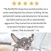 Homescape Pets Restful Pet - Calming Drops - Anxiety, Fireworks, Storms, Stress Relief - Organic Hemp Oil, Chamomile & Valerian for Dogs and Cats - Vet Recommended