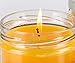 Pet Odor Specialty Pet Products Exterminator, 13 Ounce Orange Lemon Splash Jar Candle and 13 Ounce Clothesline Fresh Jar Candle