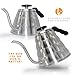 Pour Over Coffee Kettle with Thermometer - Gooseneck Drip Stainless Steel Stovetop Teapot (1.2L)