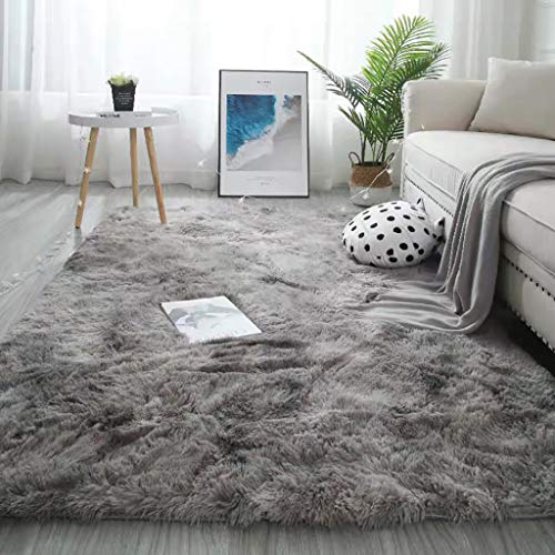 UIUYA Area Rug Plush Carpet Ultra Soft Indoor Fluffy Living Room Carpets Home Decor Rug