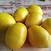 Gresorth 8pcs Artificial Lifelike Simulation Yellow Lemon Fake Fruit Home Kitchen Cabinet Decoration Food Model
