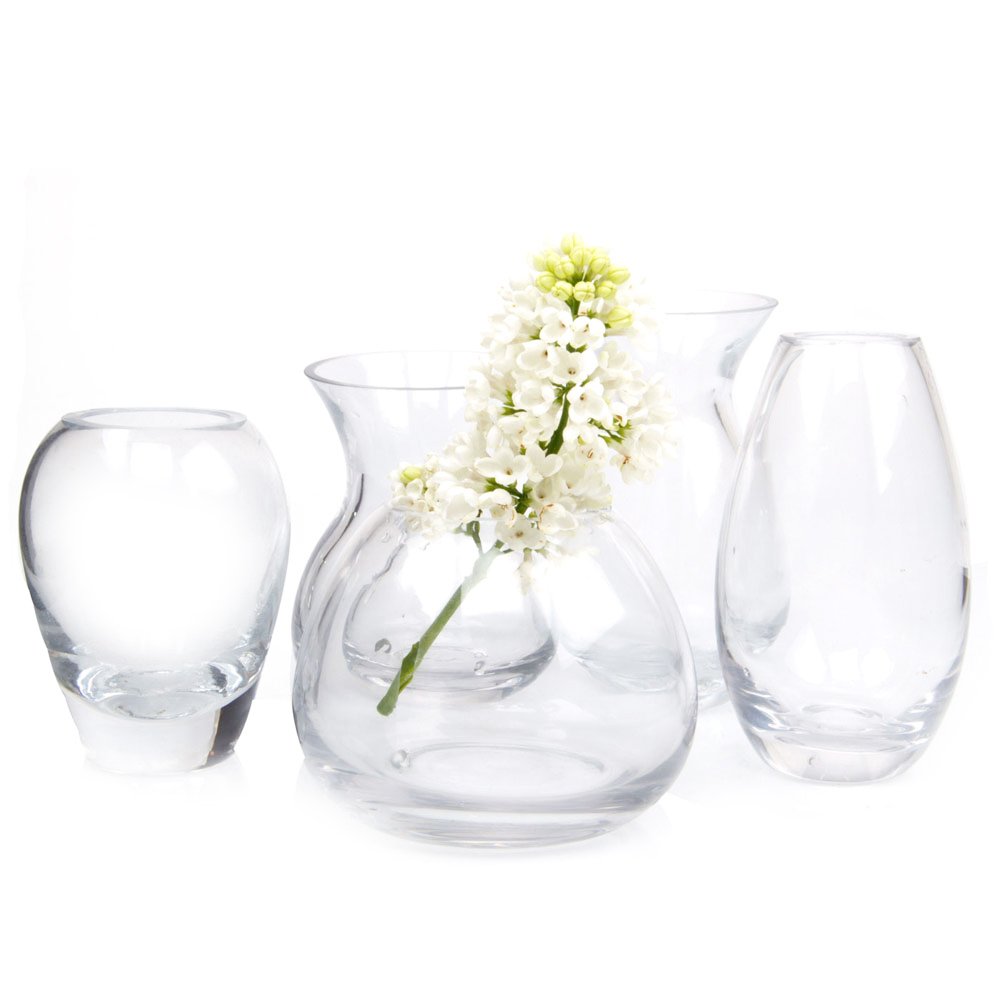 Chive ‘George’ Round Flower Vase — Cute, Beautiful Glass Vase for Flowers & House Plants — Set of all 5 Styles