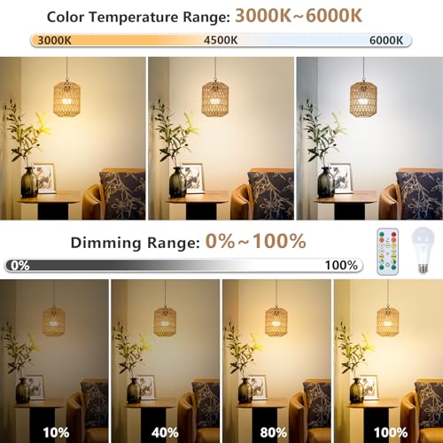 Rayofly 2 Pcs Indoor Rechargeable Hanging Lamp, Boho Hanging Lamp with Battery, Rattan Hanging Lamp without Power Supply, Outdoor Garden Lights with Bulb & Remote Control