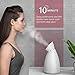 Liberex Facial Steamer - Nano Ionic Face Steamer, 70ml Water Tank with LED Indicator, Warm Mist Moisturize Skin, Upclog Pores, Reduce Blackheads, Enjoy SPA at Home