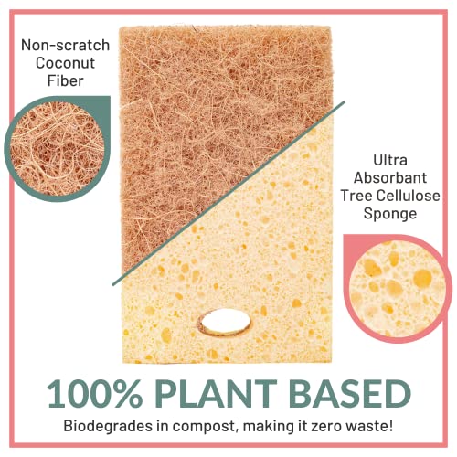 bioGo 12 Biodegradable Sponges Kitchen Eco Reusable Cellulose Sponges