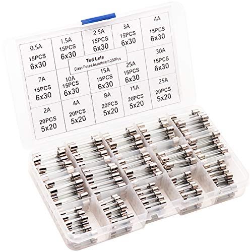 250pcs Quick Blow Glass Tube Fuse Assorted Kit Amp 250V 0.5A, 1.5A, 2.5A, 3A, 4A, 7A, 10A, 15A, 25A, 30A, 6x30mm, 250V 2A, 8A, 10A, 15A, 25A, 5x20mm Ted Lele (5x20mm and 6x30mm)