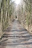 The Small Step Journey by Chris Parsons
