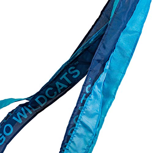 College Flags and Banners Co. Villanova Wildcats Windsock - Thumbnail 2