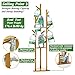 COPREE Bamboo Tree Garment Clothes Coat Hat Umbrella Portable Hanger Stand Rack with 3-Tier Storage Shelves and Hooks
