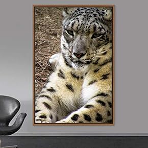 signwin Framed Canvas Wall Art Cheetah Animals Cheetah...