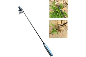 OYSPZNN 2023 New Weeding Artifact Uprooting Weeding Tool, Premium Manganese Steel Forged Weed Puller 4 Teeth Dual Purpose Weeder, Hand Weeder Tool for Gardening with Long Handle (20 Inch Iron Handle)