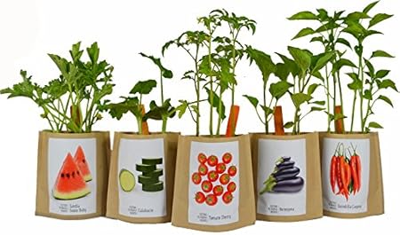 Kit de cultivo huerto urbano FRESONES: Amazon.es: Jardín