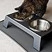 PetFusion Elevated Pet Feeder in Premium Anodized Aluminum (Short 4
