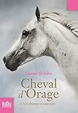 Cheval d'Orage (Tome 1) - Un champion sans prix (French Edition) by 