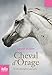 Cheval d'Orage (Tome 1) - Un champion sans prix (French Edition) by 