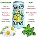 Tealixir Herbal Sparkling Water - Inspired By The Traditions Of Ayurveda, Traditional Chinese Medicine And North American Folk Medicine, Zero Sugar, Zero Calorie, 12 PACK Variety