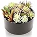 MyGift® 6 inch Realistic Artificial Faux Mixed Succulent Plants Arrangement w/Black Round Ceramic Vase
