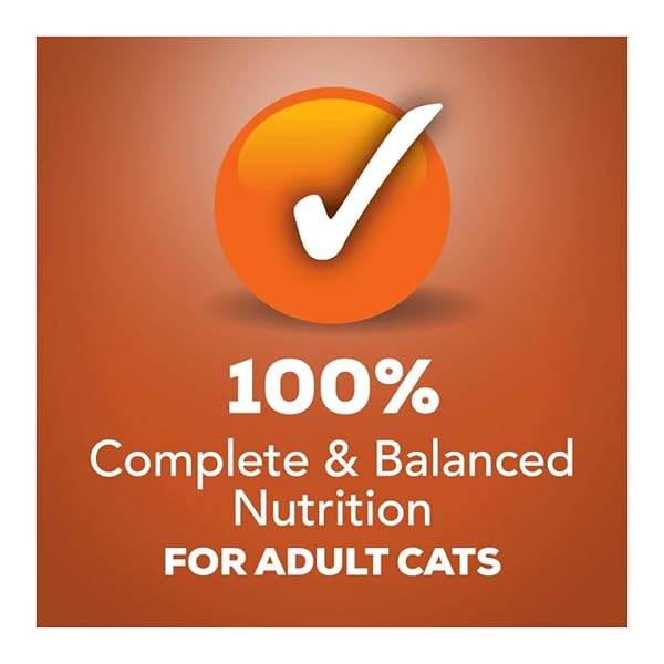 FRISKIES SLICED GOURMET GRILL CHICKEN CANNED CAT FOOD 24-5.5OZ CANS