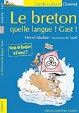Le breton : Quelle langue, Gast ! by Hervé Abalain