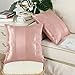 CaliTime Pack of 2 Cushion Covers Throw Pillow Cases Shells for Couch Sofa Home Decoration Modern Shining & Dull Contrast Striped 18 X 18 Inches Dusty Pink